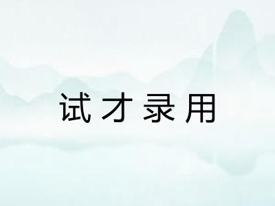 试才录用 试才录用