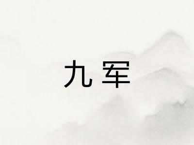 九军