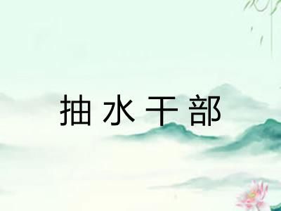 抽水干部 抽水干部