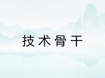 技术骨干 技术骨干