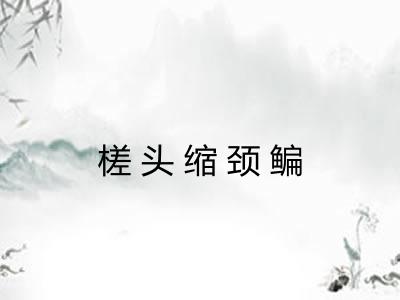 槎头缩颈鳊 槎头缩颈鳊