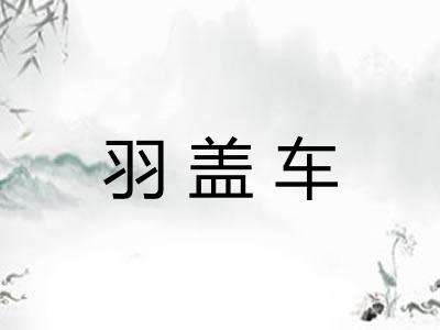 羽盖车 羽盖车