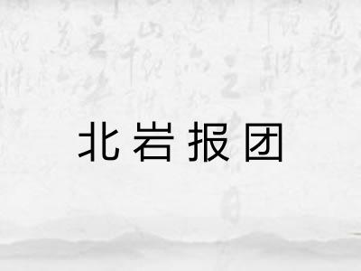 北岩报团