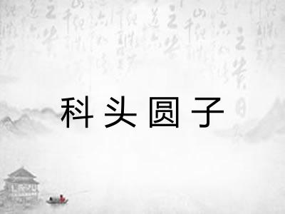 科头圆子 科头圆子