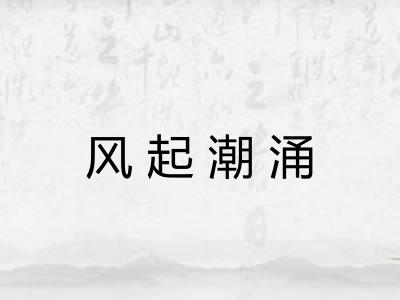 风起潮涌