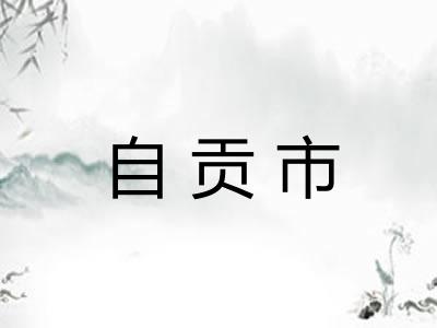 自贡市 自贡市