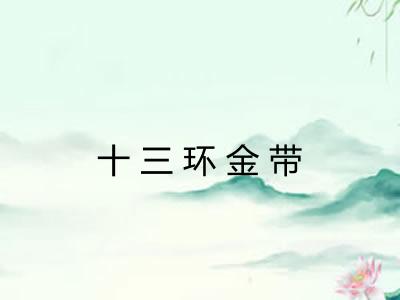 十三环金带 十三环金带