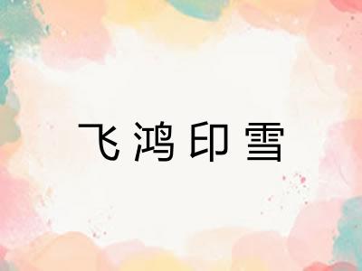 飞鸿印雪 飞鸿印雪