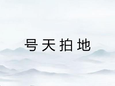 号天拍地