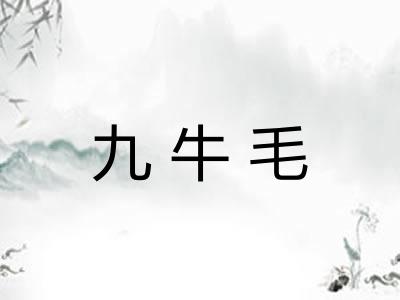 九牛毛 九牛毛