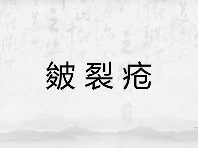 皴裂疮 皴裂疮