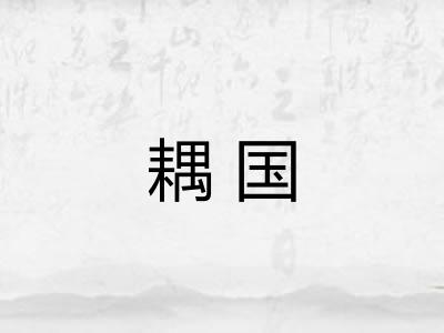 耦国