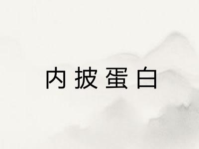 内披蛋白 内披蛋白