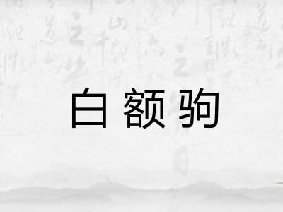 白额驹 白额驹