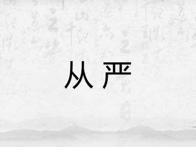 从严 从严