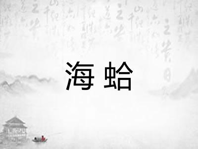 海蛤 海蛤