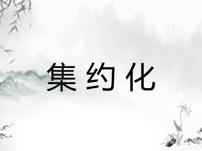 集约化