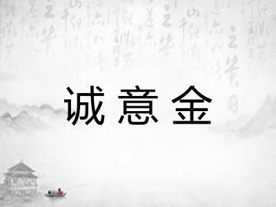 诚意金 诚意金