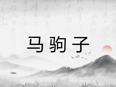 马驹子 马驹子