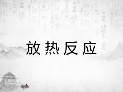 放热反应 放热反应