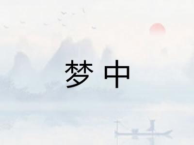 梦中 梦中