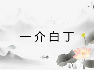 一介白丁 一介白丁