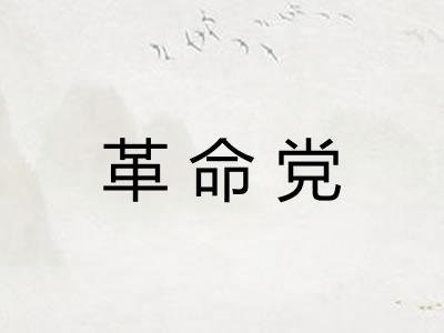 革命党 革命党