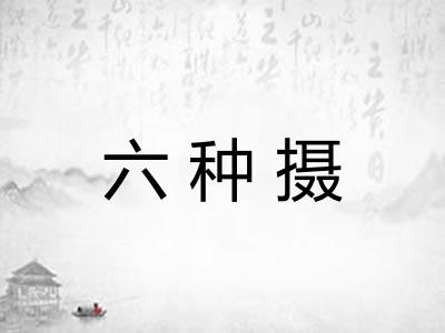 六种摄