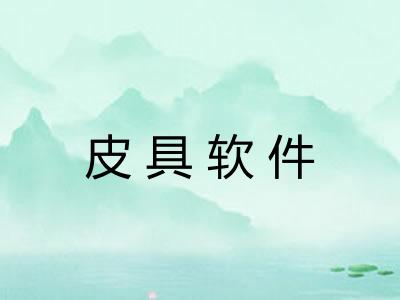皮具软件 皮具软件