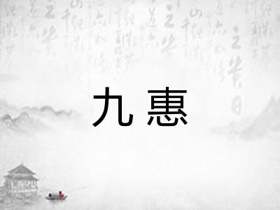 九惠