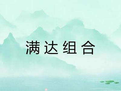 满达组合 满达组合