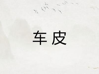 车皮 车皮