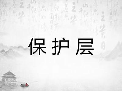 保护层 保护层
