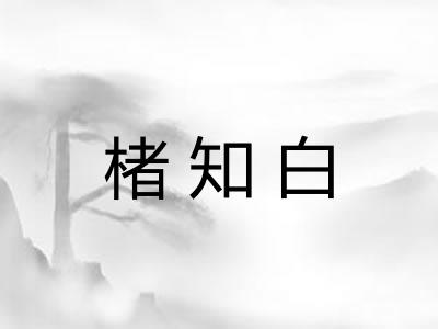 楮知白