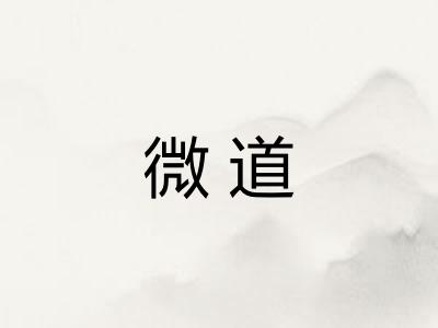 微道