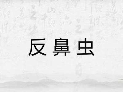 反鼻虫 反鼻虫