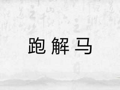 跑解马 跑解马