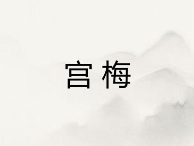宫梅