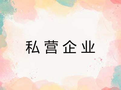 私营企业 私营企业