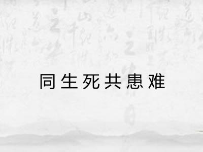 同生死共患难 同生死共患难