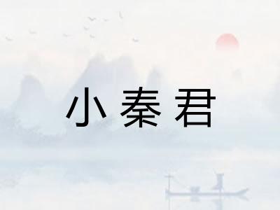 小秦君 小秦君