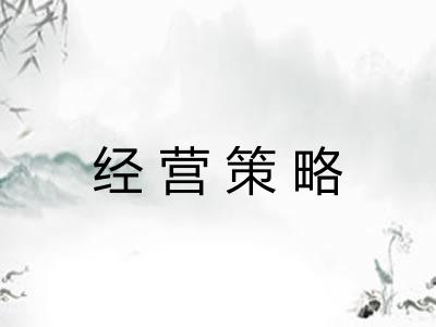 经营策略 经营策略