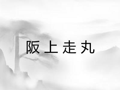 阪上走丸 阪上走丸