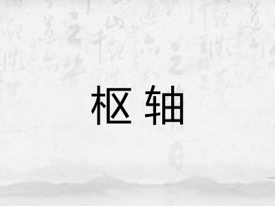 枢轴 枢轴