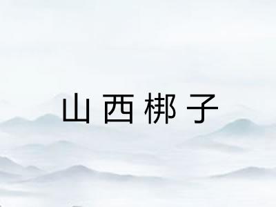 山西梆子 山西梆子