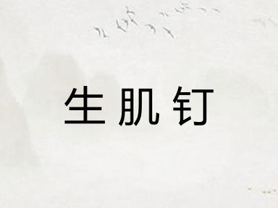 生肌钉 生肌钉