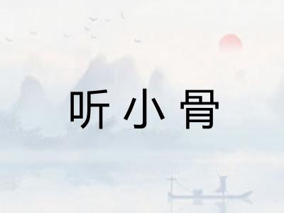 听小骨 听小骨