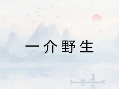 一介野生