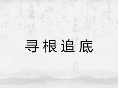 寻根追底 寻根追底