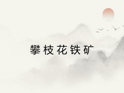 攀枝花铁矿 攀枝花铁矿